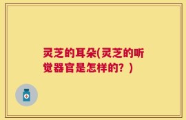 灵芝的耳朵(灵芝的听觉器官是怎样的？)