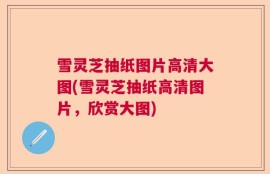 雪灵芝抽纸图片高清大图(雪灵芝抽纸高清图片，欣赏大图)
