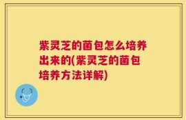 紫灵芝的菌包怎么培养出来的(紫灵芝的菌包培养方法详解)