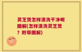 灵芝煲怎样清洗干净呢图解(怎样清洗灵芝煲？附带图解)