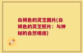 白褐色的灵芝图片(白褐色的灵芝照片：与神秘的自然相连)