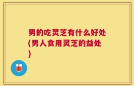 男的吃灵芝有什么好处(男人食用灵芝的益处)