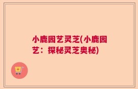 小鹿园艺灵芝(小鹿园艺：探秘灵芝奥秘)
