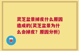 灵芝盆景掉皮什么原因造成的(灵芝盆景为什么会掉皮？原因分析)