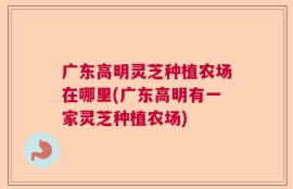 广东高明灵芝种植农场在哪里(广东高明有一家灵芝种植农场)