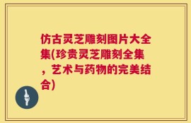仿古灵芝雕刻图片大全集(珍贵灵芝雕刻全集，艺术与药物的完美结合)