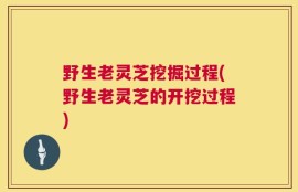 野生老灵芝挖掘过程(野生老灵芝的开挖过程)