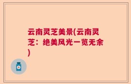 云南灵芝美景(云南灵芝：绝美风光一览无余)