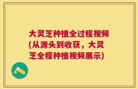 大灵芝种植全过程视频(从源头到收获，大灵芝全程种植视频展示)