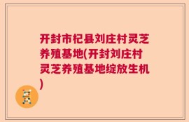 开封市杞县刘庄村灵芝养殖基地(开封刘庄村灵芝养殖基地绽放生机)