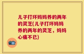 儿子打坏妈妈养的两年的灵芝(儿子打坏妈妈养的两年的灵芝，妈妈心痛不已)