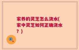 家养的灵芝怎么浇水(家中灵芝如何正确浇水？)
