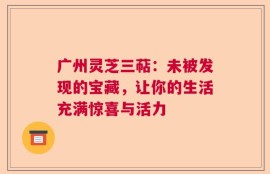 广州灵芝三萜：未被发现的宝藏，让你的生活充满惊喜与活力