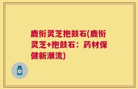 鹿衔灵芝抱鼓石(鹿衔灵芝+抱鼓石：药材保健新潮流)