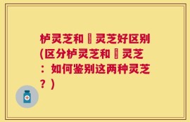 栌灵芝和艼灵芝好区别(区分栌灵芝和艼灵芝：如何鉴别这两种灵芝？)