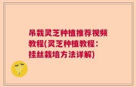 吊栽灵芝种植推荐视频教程(灵芝种植教程：挂丝栽培方法详解)