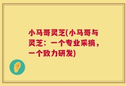 小马哥灵芝(小马哥与灵芝：一个专业采摘，一个致力研发)