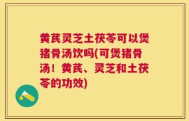 黄芪灵芝土茯苓可以煲猪骨汤饮吗(可煲猪骨汤！黄芪、灵芝和土茯苓的功效)