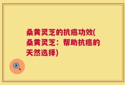 桑黄灵芝的抗癌功效(桑黄灵芝：帮助抗癌的天然选择)