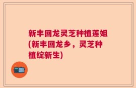 新丰回龙灵芝种植莲姐(新丰回龙乡，灵芝种植绽新生)
