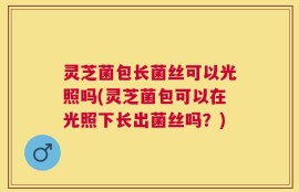 灵芝菌包长菌丝可以光照吗(灵芝菌包可以在光照下长出菌丝吗？)