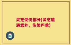 灵芝受伤部分(灵芝遭遇意外，伤势严重)