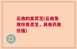云南的紫灵芝(云南发现珍贵灵芝，具有药用价值)