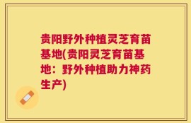 贵阳野外种植灵芝育苗基地(贵阳灵芝育苗基地：野外种植助力神药生产)