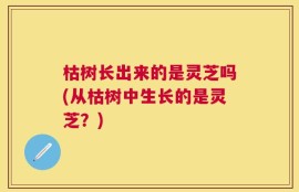 枯树长出来的是灵芝吗(从枯树中生长的是灵芝？)