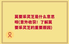 莫要采灵芝是什么意思呀(意外收获！了解莫要采灵芝的重要原因)
