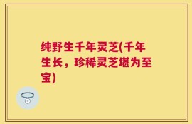 纯野生千年灵芝(千年生长，珍稀灵芝堪为至宝)