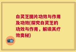 白灵芝图片功效与作用及功效(探究白灵芝的功效与作用，解读其疗效奥秘)