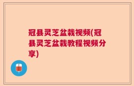 冠县灵芝盆栽视频(冠县灵芝盆栽教程视频分享)