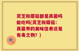 灵芝和蘑菇都是真菌吗能吃吗(灵芝和蘑菇：真菌界的美味佳肴还是有毒之物？)