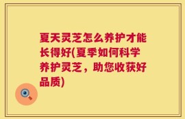 夏天灵芝怎么养护才能长得好(夏季如何科学养护灵芝，助您收获好品质)