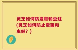 灵芝如何防发霉和虫蛀(灵芝如何防止霉菌和虫蛀？)