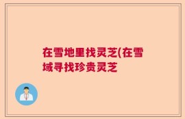 在雪地里找灵芝(在雪域寻找珍贵灵芝