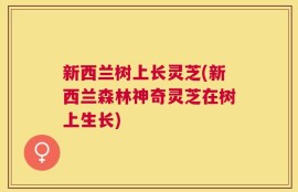 新西兰树上长灵芝(新西兰森林神奇灵芝在树上生长)