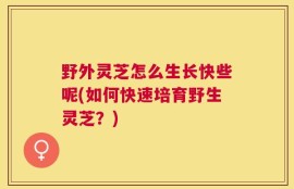 野外灵芝怎么生长快些呢(如何快速培育野生灵芝？)