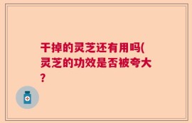 干掉的灵芝还有用吗(灵芝的功效是否被夸大？