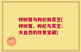 桦树茸与枸杞和灵芝(桦树茸、枸杞与灵芝：大自然的珍贵宝藏)