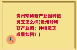 贵州珍稀菇产业园种植灵芝怎么样(贵州珍稀菇产业园：种植灵芝 成果如何？)