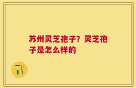 苏州灵芝孢子？灵芝孢子是怎么样的