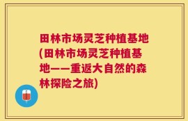 田林市场灵芝种植基地(田林市场灵芝种植基地——重返大自然的森林探险之旅)