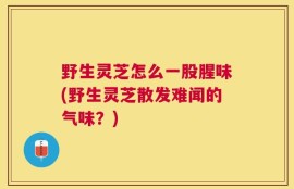 野生灵芝怎么一股腥味(野生灵芝散发难闻的气味？)