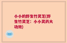 小小的野生竹灵芝(野生竹灵芝：小小灵药大功效)