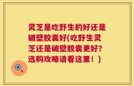 灵芝是吃野生的好还是破壁胶囊好(吃野生灵芝还是破壁胶囊更好？选购攻略请看这里！)