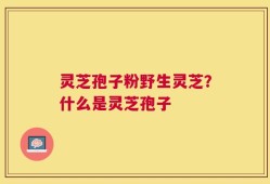 灵芝孢子粉野生灵芝？什么是灵芝孢子
