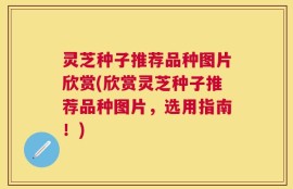 灵芝种子推荐品种图片欣赏(欣赏灵芝种子推荐品种图片，选用指南！)