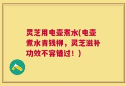 灵芝用电壶煮水(电壶煮水青钱柳，灵芝滋补功效不容错过！)